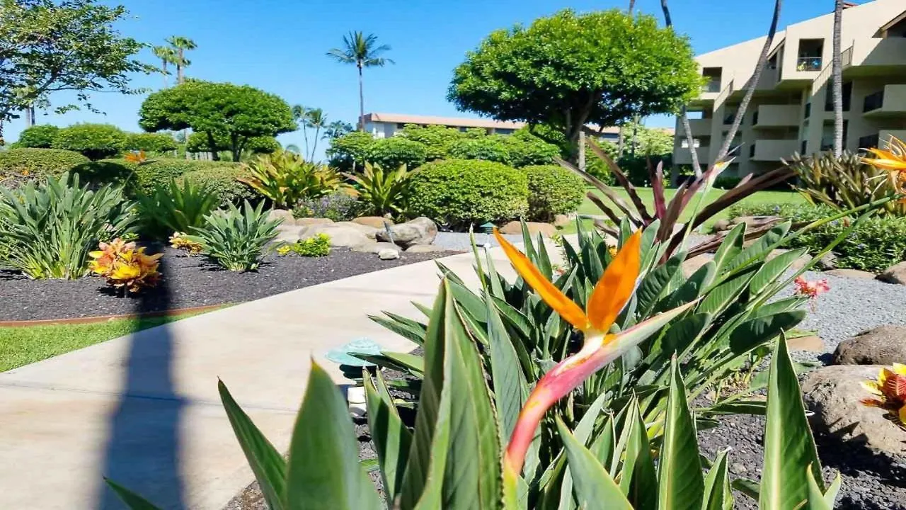 Holiday home Kamaole Sands 1101 Wailea  United States